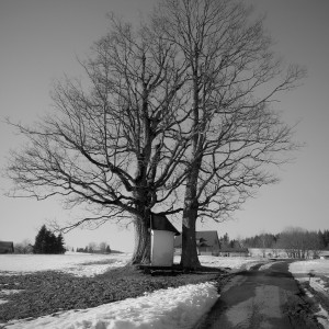 DSCN1314
