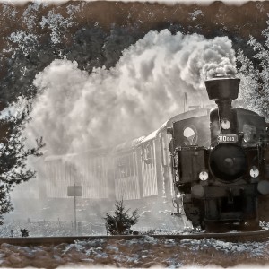 DSCN9659