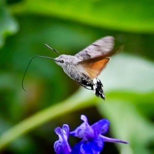 IMG_20250716_202119