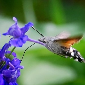 IMG_20250716_194727