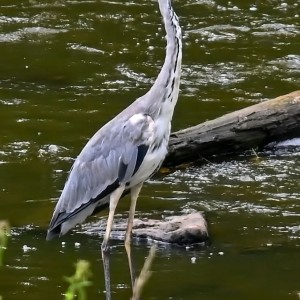IMG_20250716_194311
