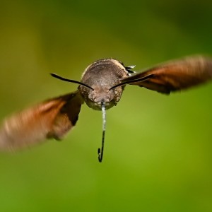 IMG_20250819_124444