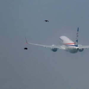 rajce-photo-1672471292