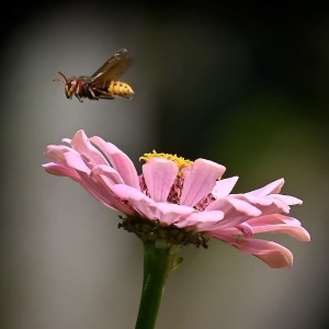 rajce-photo-1690420944