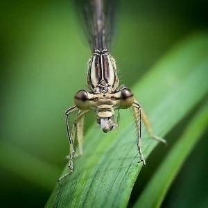 rajce-photo-1689422531