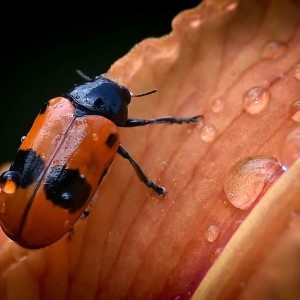 rajce-photo-1685640549