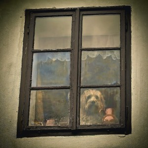 rajce-photo-1689422526