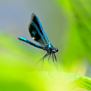 rajce-photo-1685640168