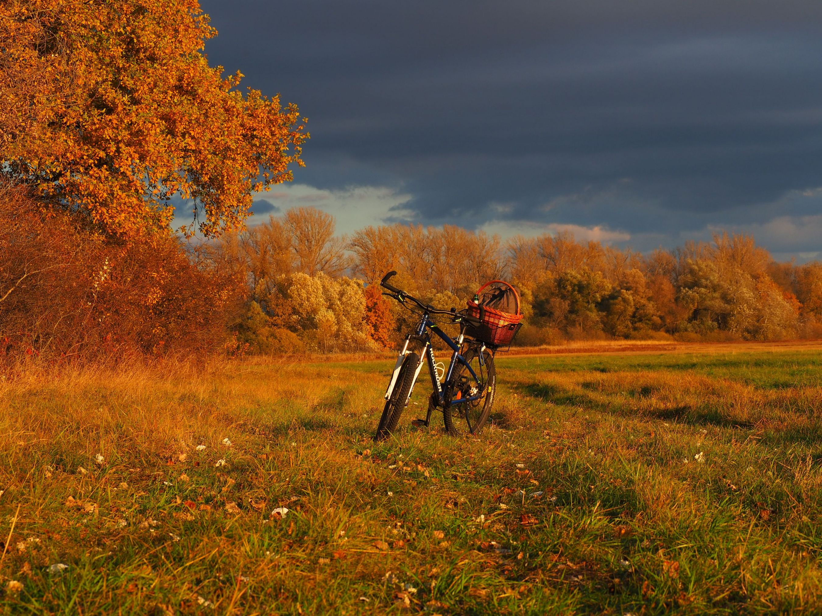 bicyklový výlet pri rieke Morava