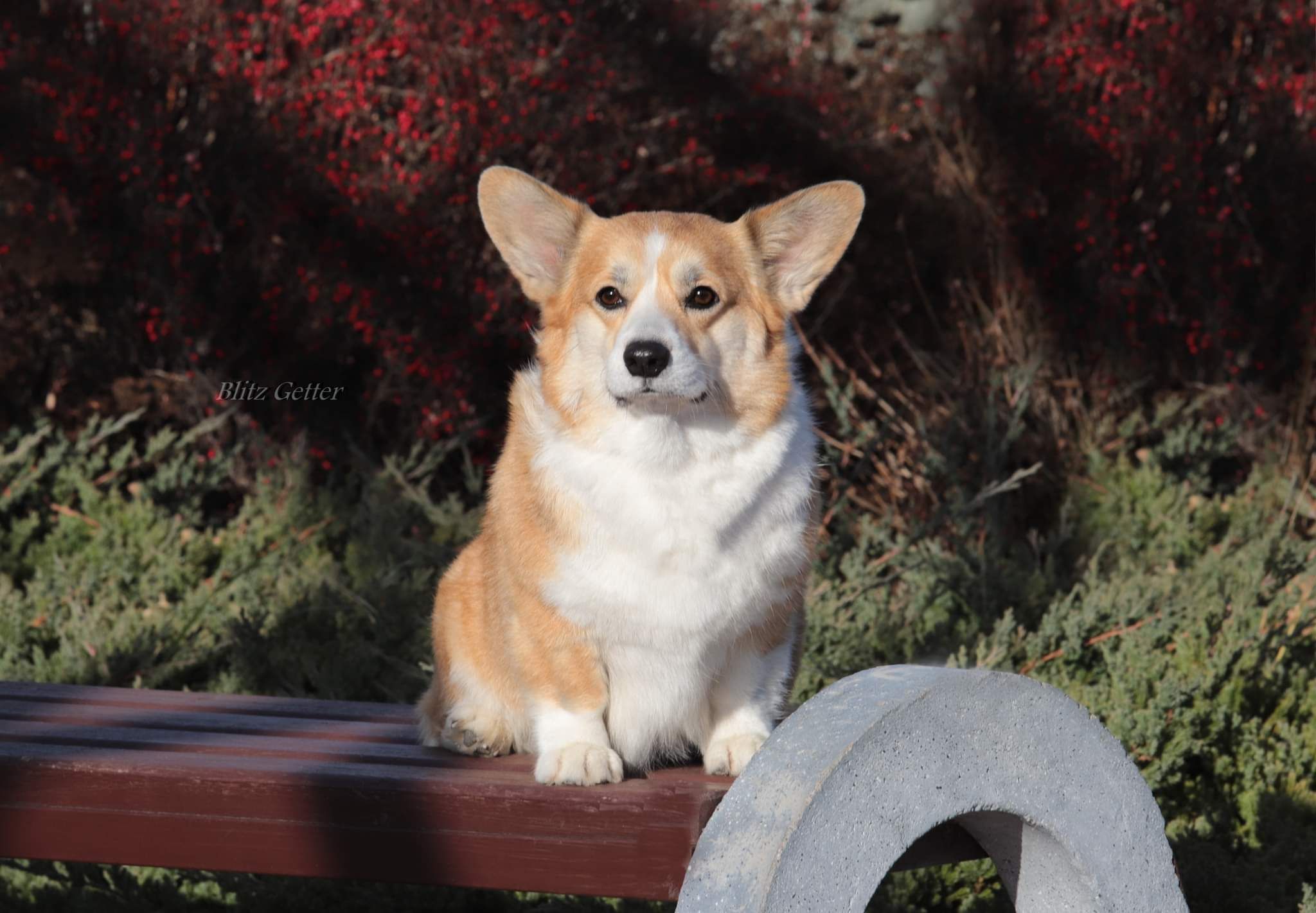 received_4235215089935059