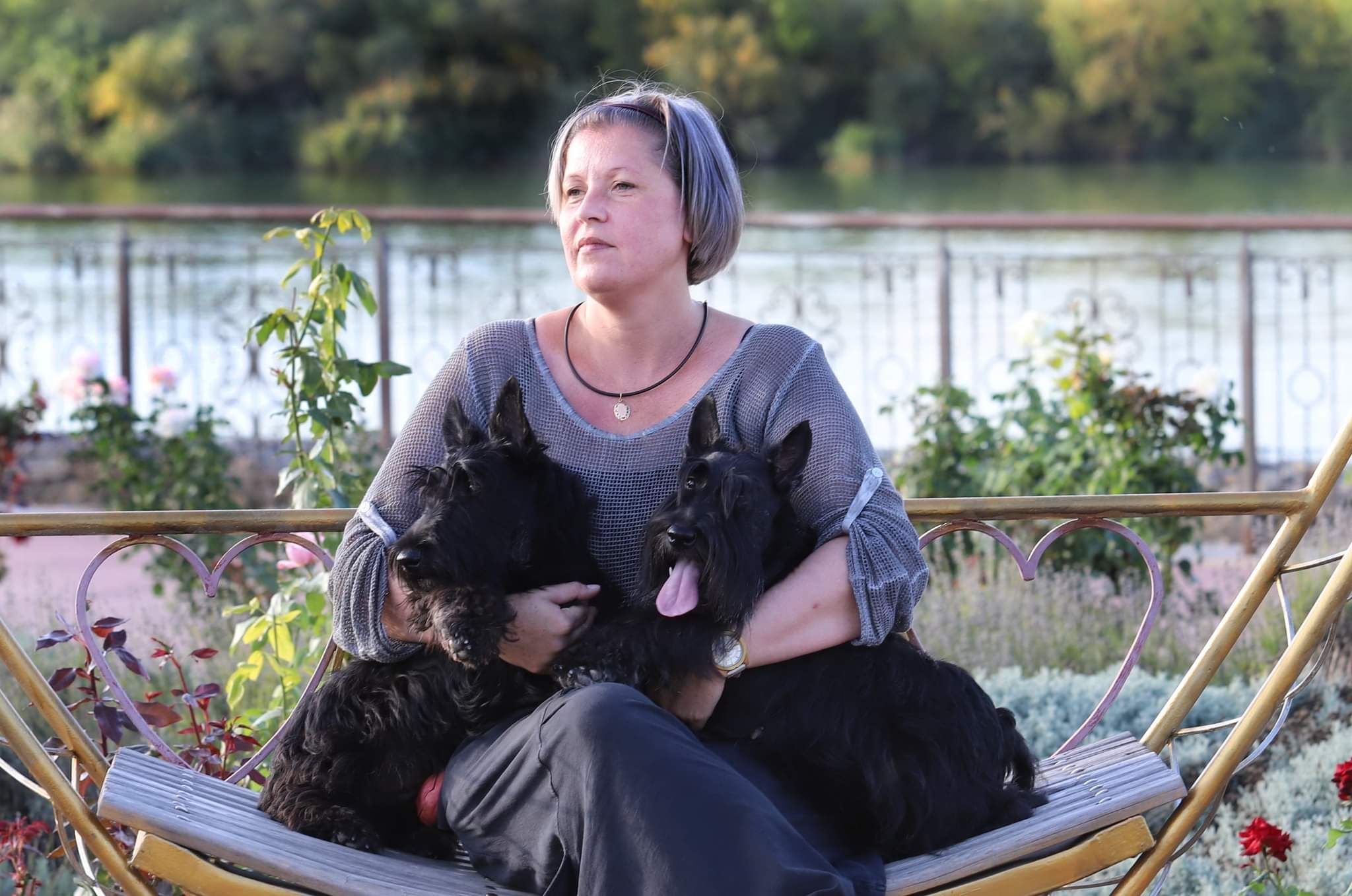 received_393592225455723