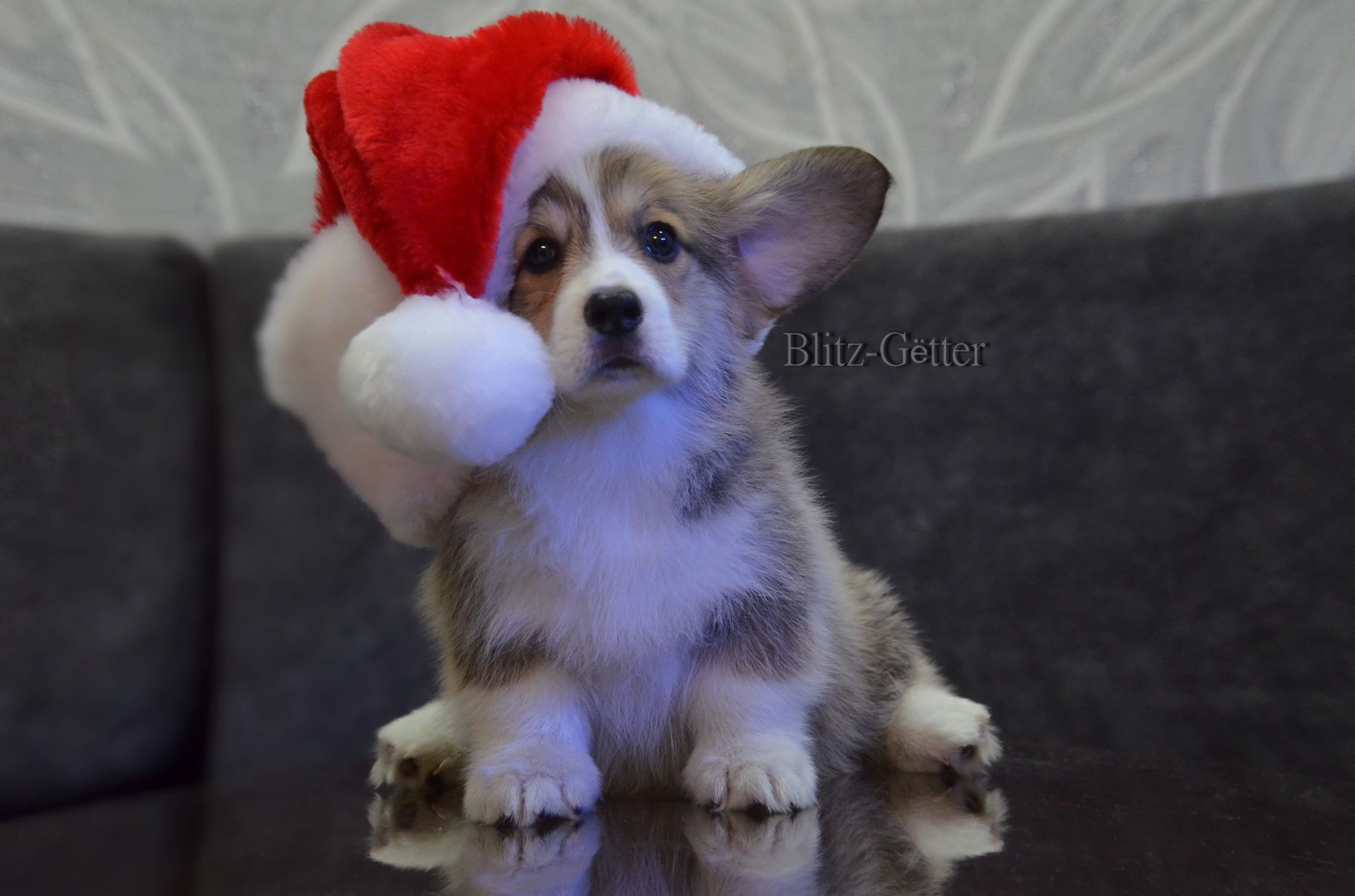 received_296202498479293