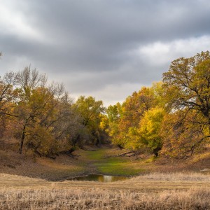 Осенью