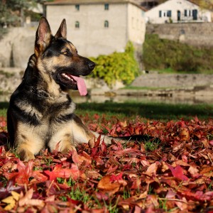 20211127094819_IMG_0106_2