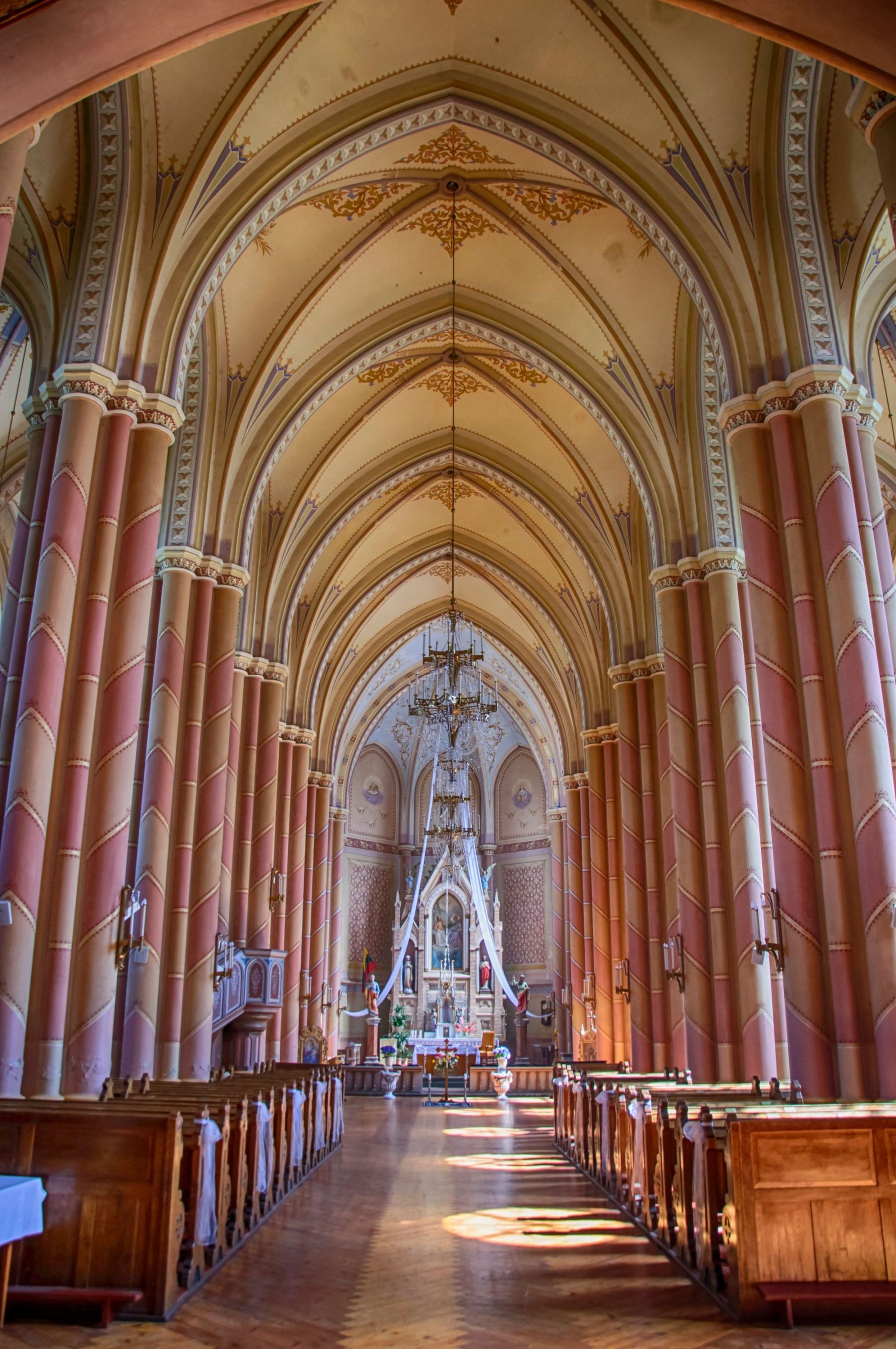 DSC_h5932