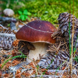 HDR_2932