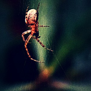 img_1636229013823