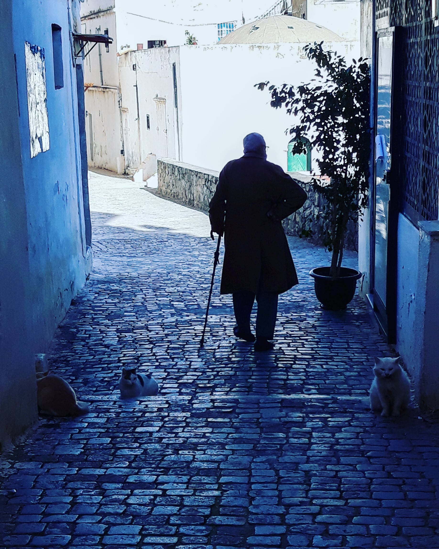 Casbah. Alger.Algeria