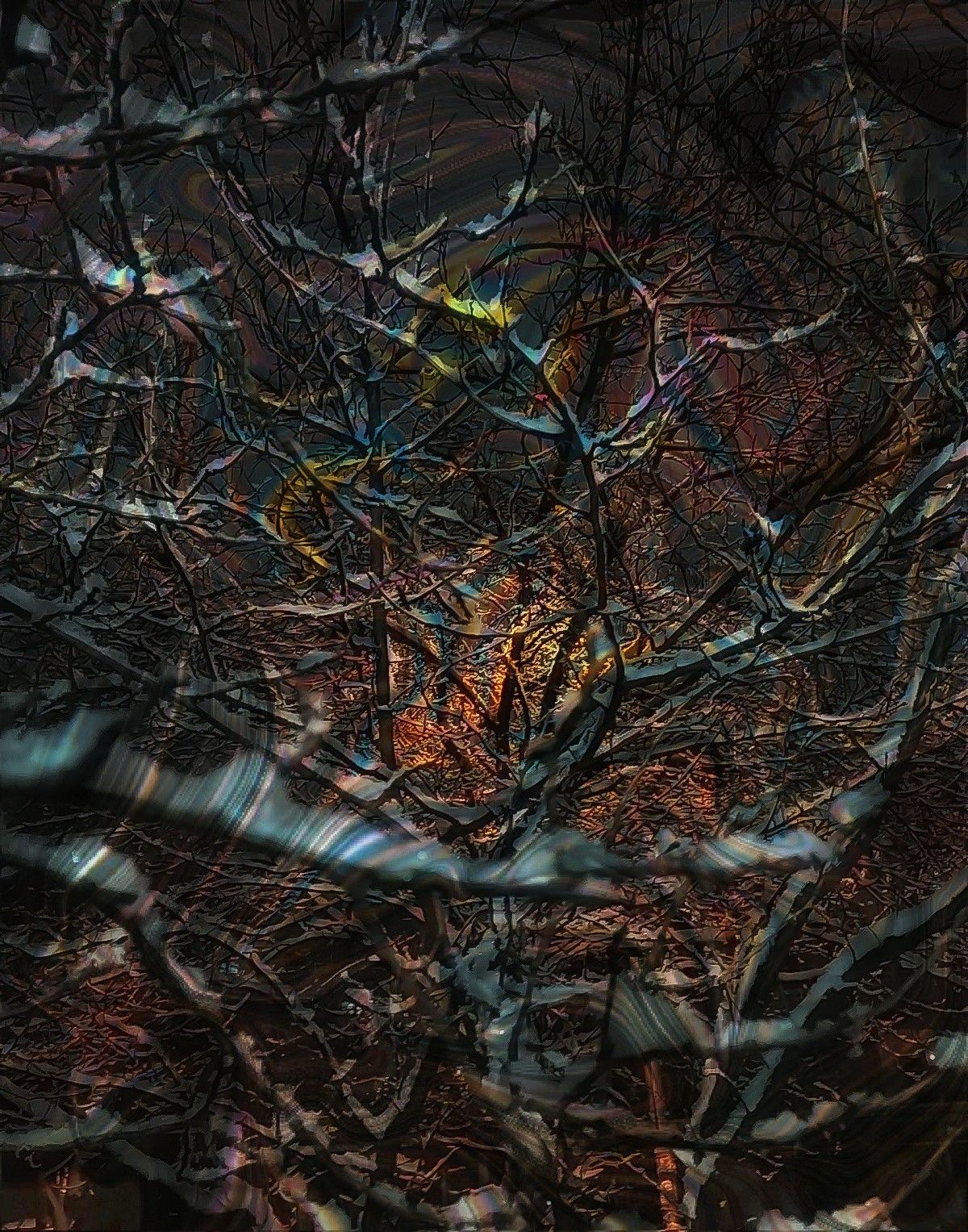 mir_20220109_204534-01__2022.01.09-11.33.59