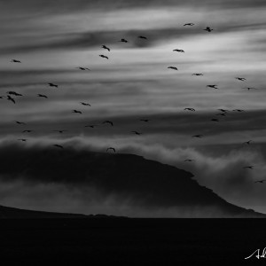 Antes del amanecer