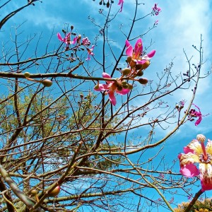 inbound6907016307116064836