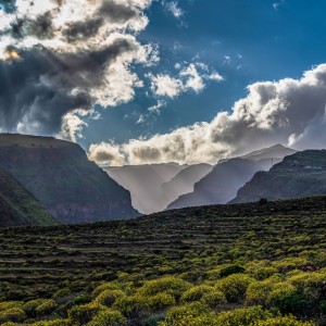 f169d1e3677342eca33473d9860e84af