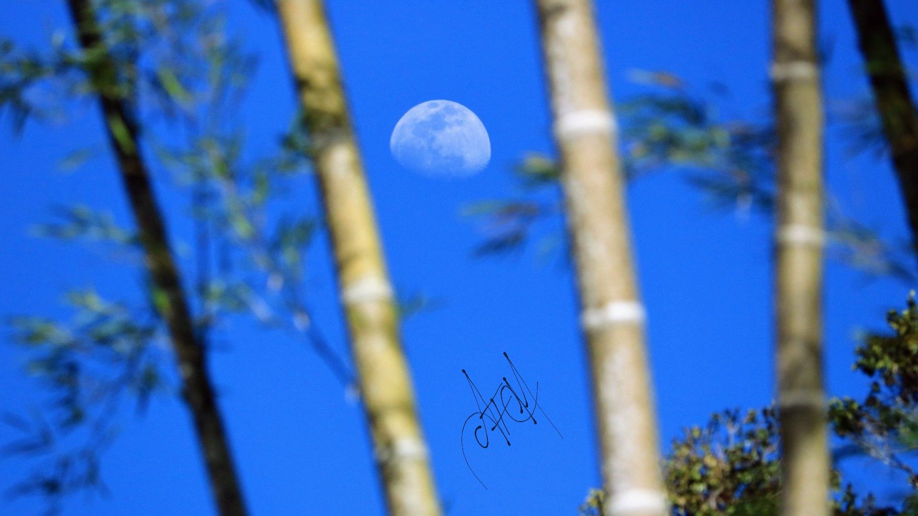 Luna entre Guaduas
