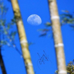 Luna entre Guaduas