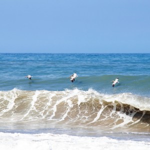 Sobrevolando el mar