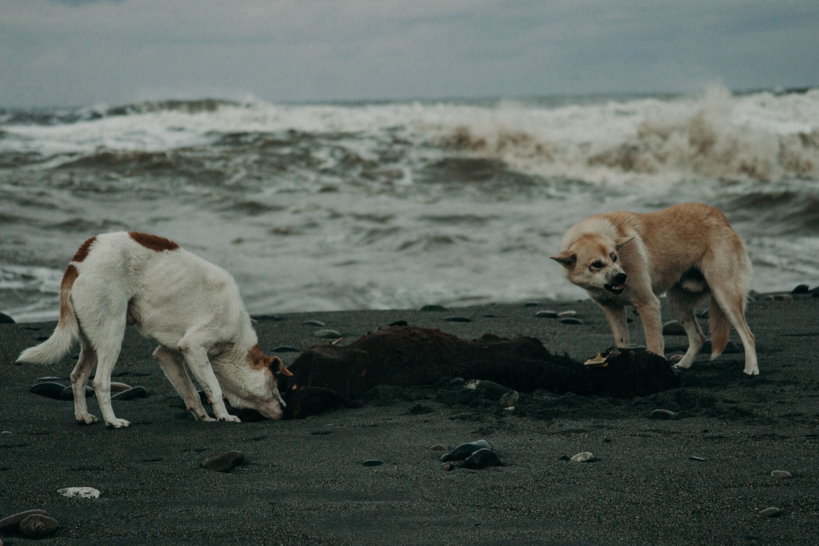 70BD6A73-0A97-41E4-B2B1-6A846E1AF0C2