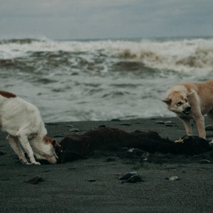 70BD6A73-0A97-41E4-B2B1-6A846E1AF0C2