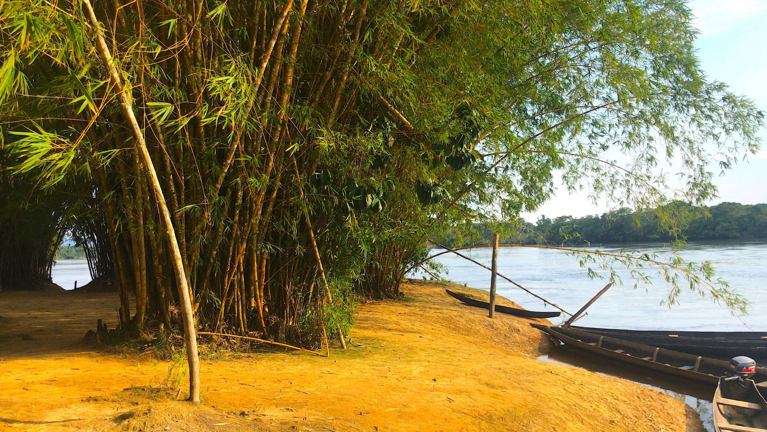 4E0C88CD-2CAB-4D89-AAFE-B2BE8554F31F