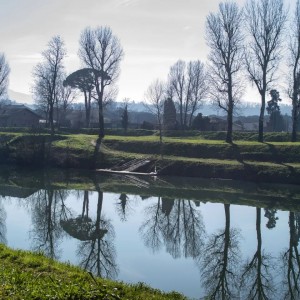 Sulle rive dell'Arno