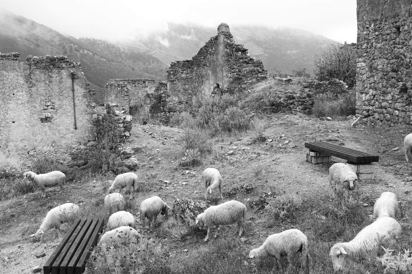 FB_IMG_1665167541145