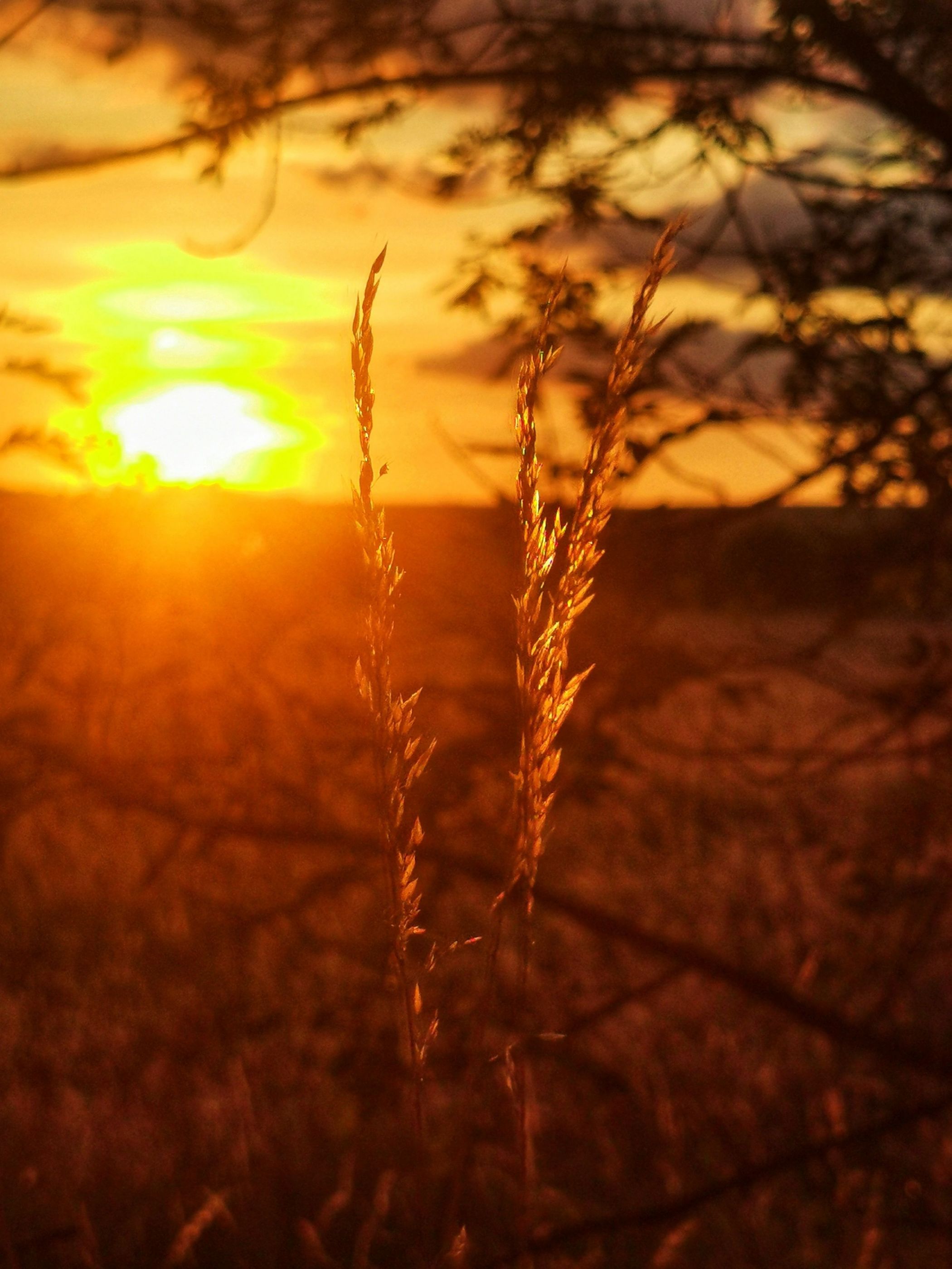 IMG_20220801_204224-01