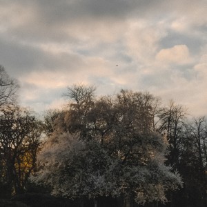 IMG_20220405_183118