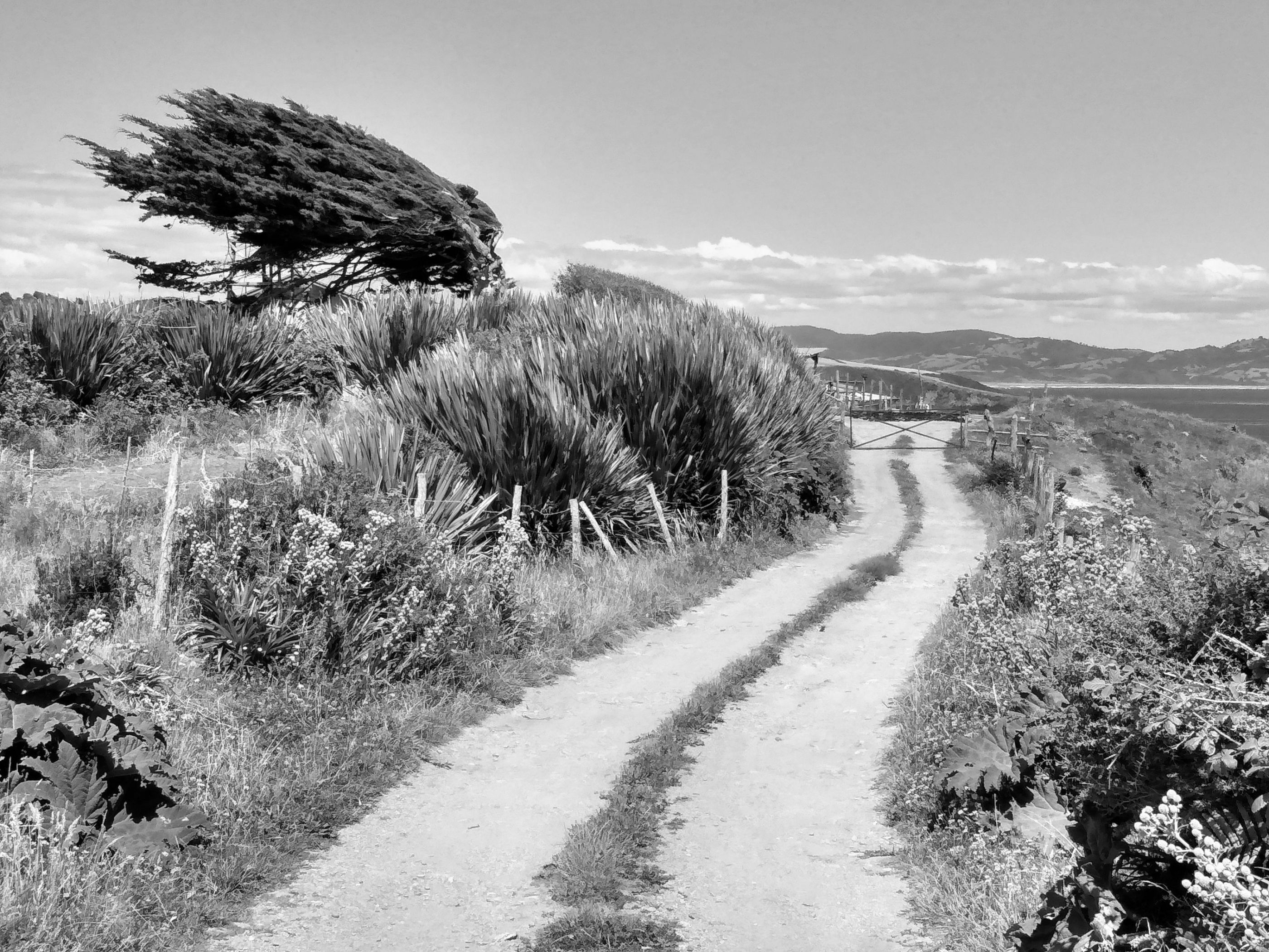 Chiloe