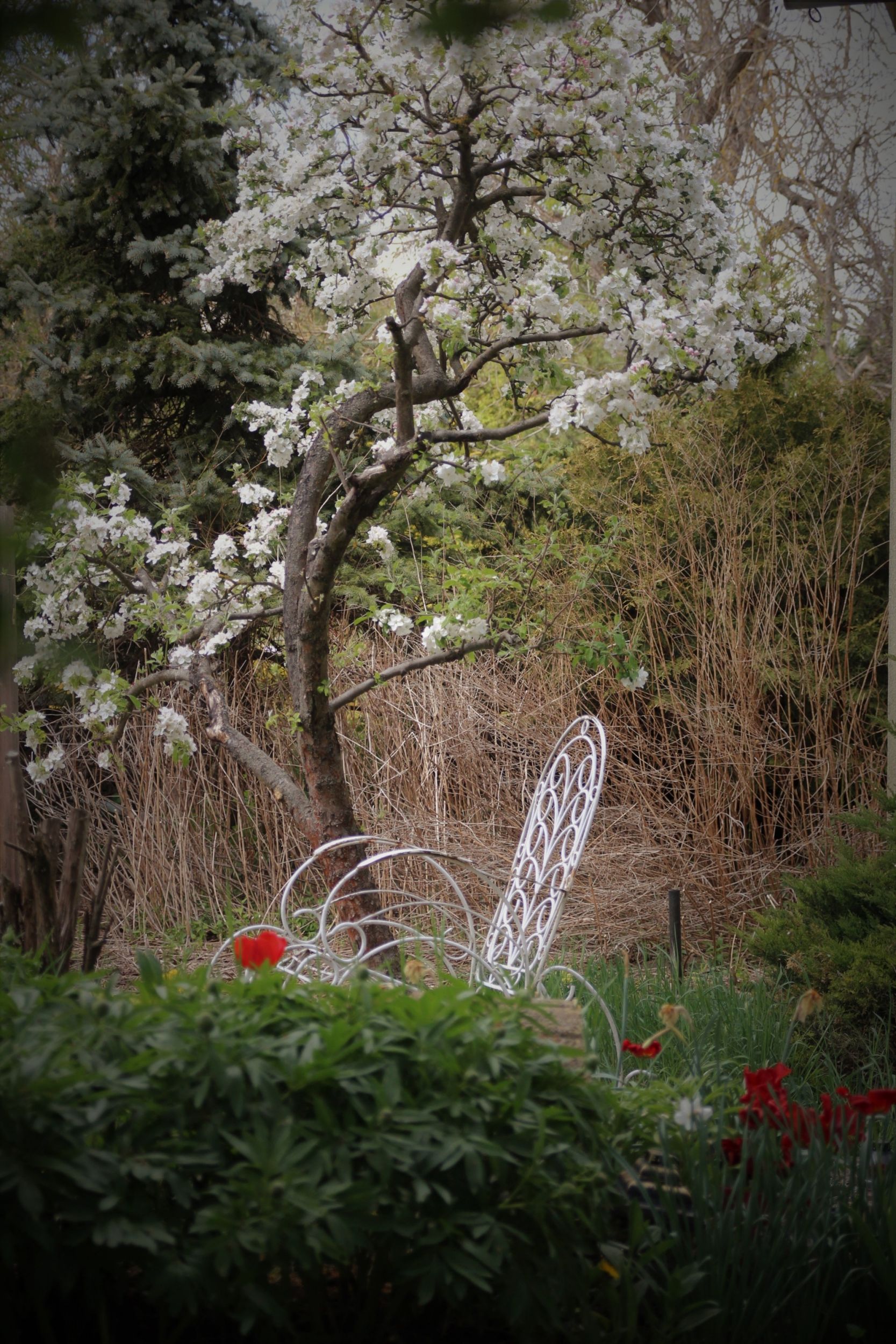 23638411-63A5-4726-8D2F-A3115BF8CCBD