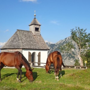 Postalm