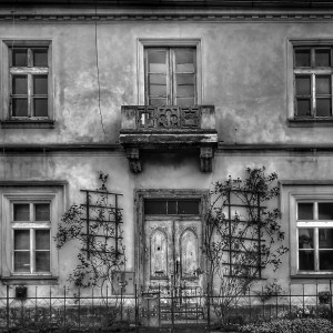 P5030233-01-01