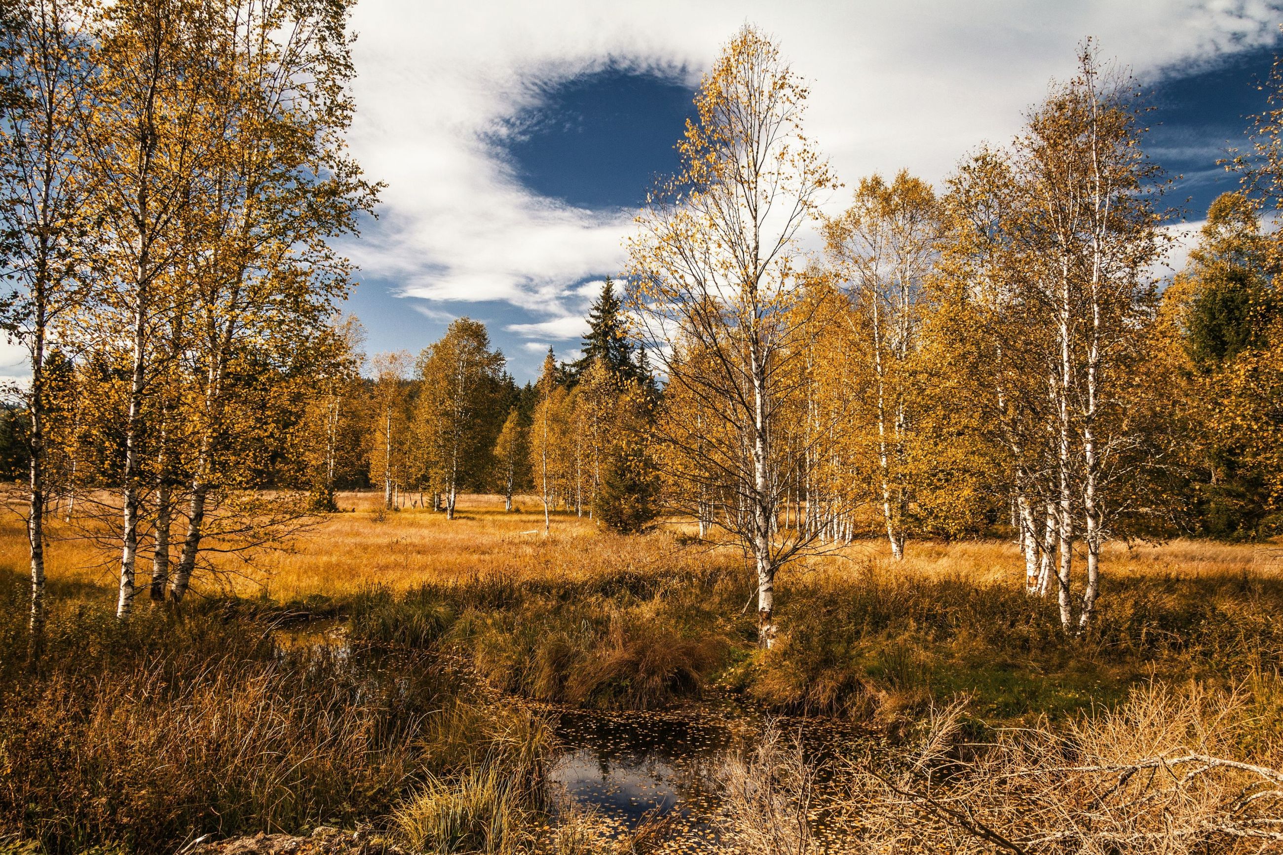 Šumava, u Knížecích plání