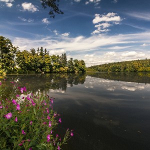 Konventský rybník