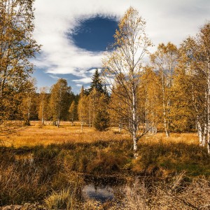 Šumava, u Knížecích plání