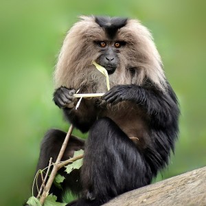 DSC_0894-01-06-01-01-01