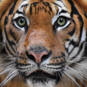 DSC_0334-02-02-02-01-01