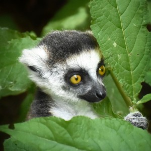 DSC_0206-01-01-01-01