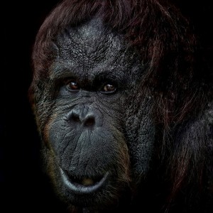 DSC_0849-01-01-01-01-03-01-01-01-01-02-02