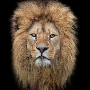 DSC_0271-06-02-02-01-01