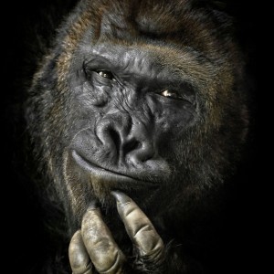 DSC_0102-04-02-02-01-01-01-01-01-01-01-01-01