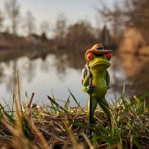 Frosch_2